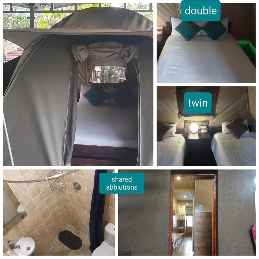 Urban Glamping Tranquil International Backpacking Village St Lucia Bagian luar foto