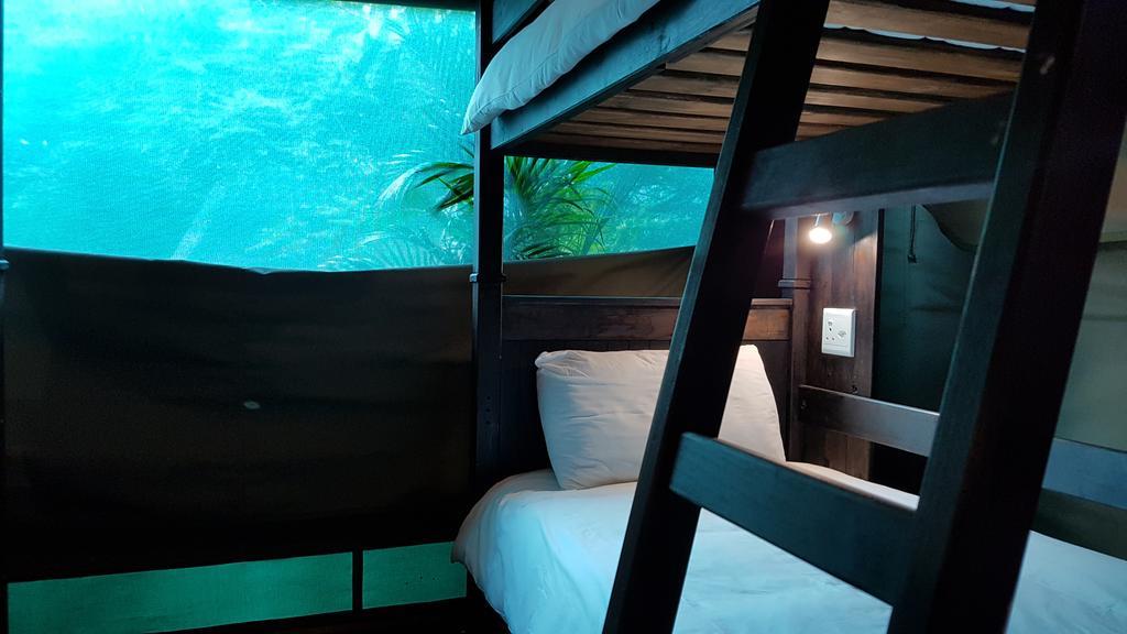 Urban Glamping Tranquil International Backpacking Village St Lucia Bagian luar foto